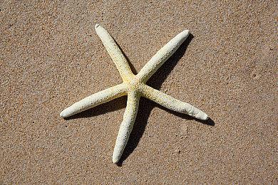 《怪物猎人：崛起》官方已发布版本更新 修复了Steam Deck无法运行的问题